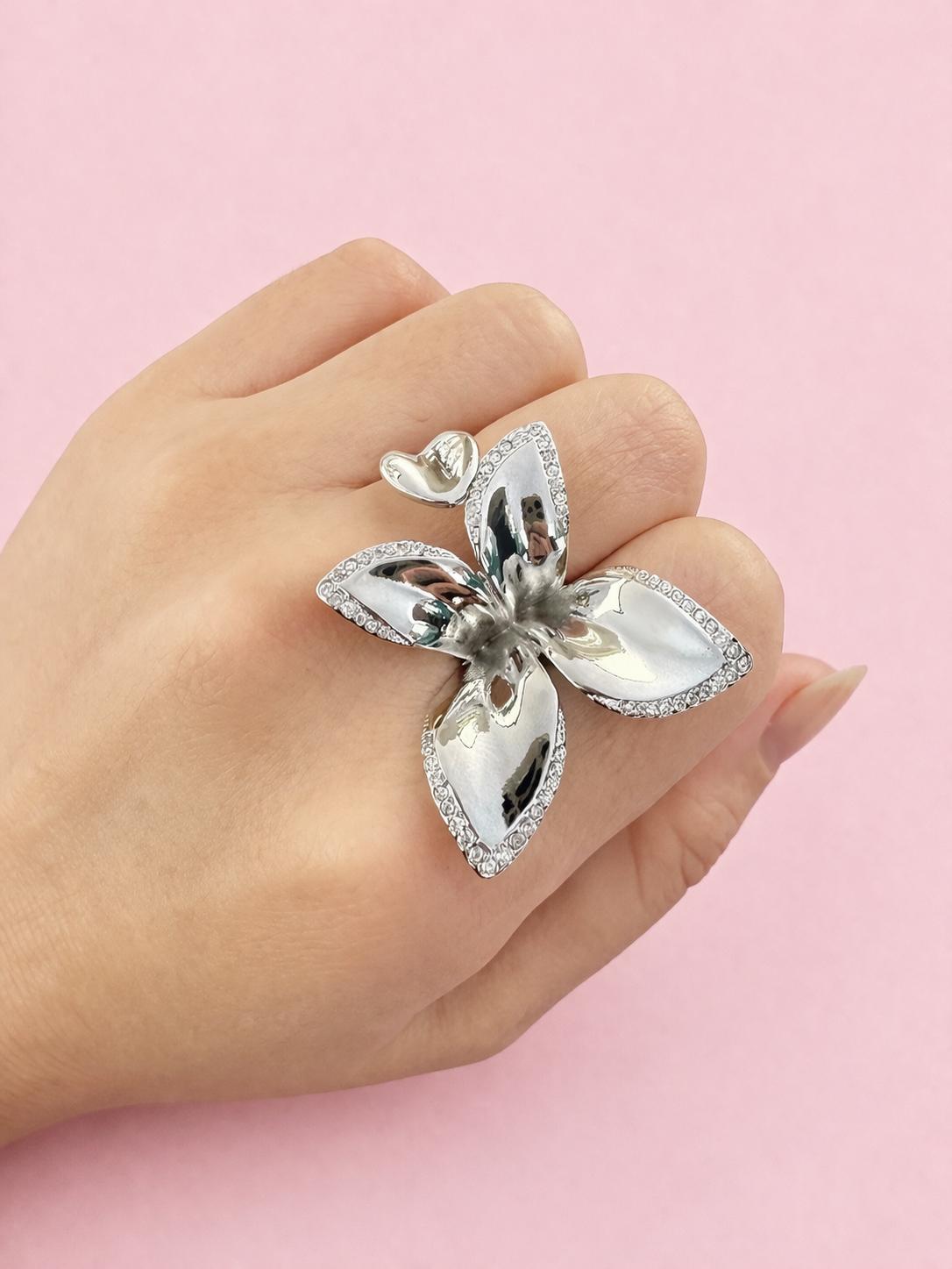 Anillo