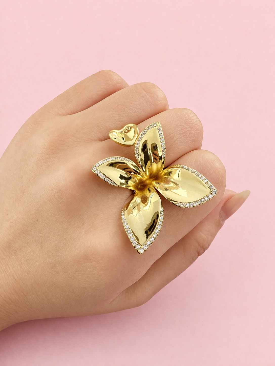 Anillo