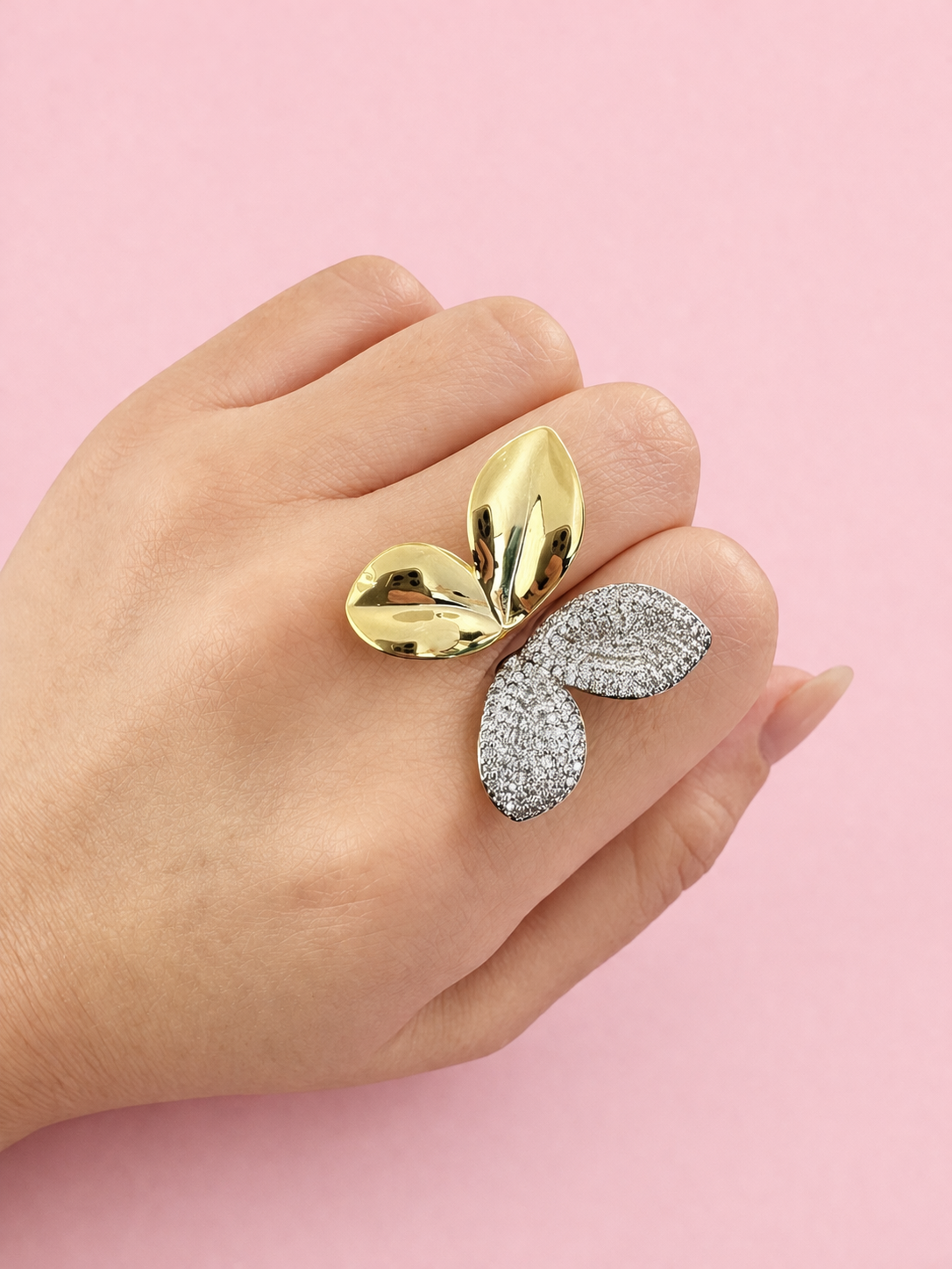 Anillo